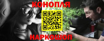 сатива Сланцы