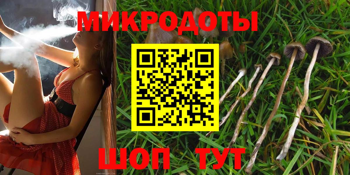 Павлово  Псилоцибиновые грибы ЛСД  Вход с VPN 